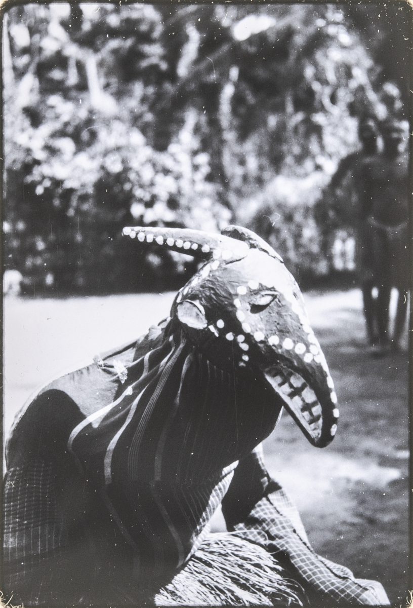 Close up portrait of Ojo Onu masquerade with a long snout wooden mask