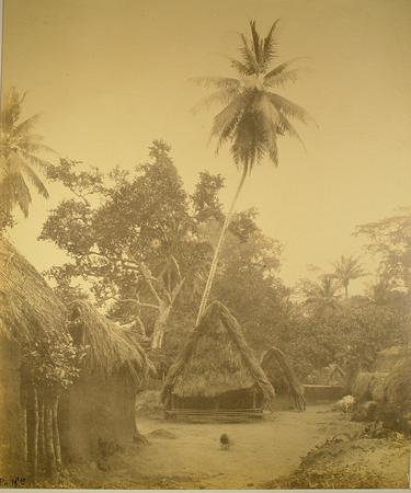 A monochromatic photograph of a chief's compound featuring several mud buildings, palm frond thatched roofs and a tall central palm tree.